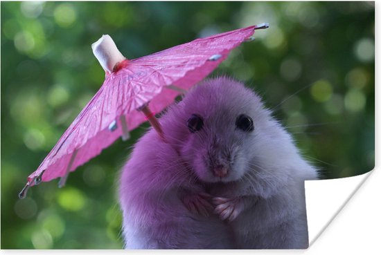 Affiche - Hamster avec un parasol rose - 30x20 cm