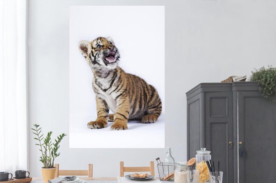 Tigre avec la bouche ouverte sur papier poster fond blanc 120x180 cm - Tirage photo sur Poster (décoration murale salon / chambre) / Poster Animaux sauvages XXL / Groot format!