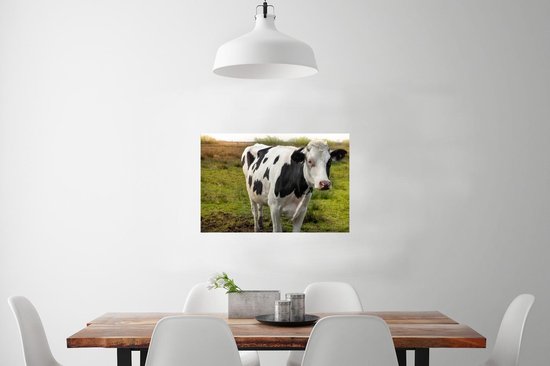 Gros plan d'une vache noire et blanche 90x60 cm