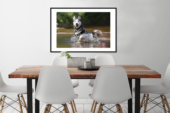 Photo encadrée - Cadre photo Husky dans l'eau noir avec passe-partout blanc 60x90 90x60 cm - Affiche encadrée (Décoration murale salon / chambre)