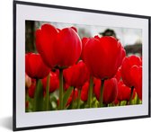 Fotolijst incl. Poster - Close-up van rode tulpen - 40x30 cm - Posterlijst
