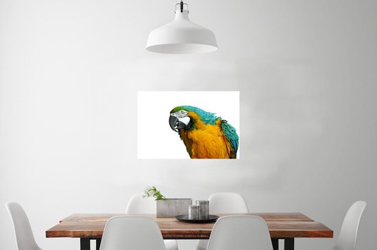 Poster Perroquet devant fond blanc papier 90x60 cm - Tirage photo sur Poster (décoration murale salon / chambre) / Poster Animaux sauvages
