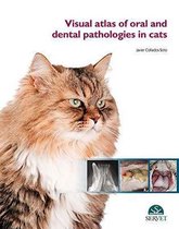 Visual Atlas of Oral and Dental Pathologies in Cats