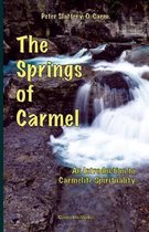 The Springs of Carmel