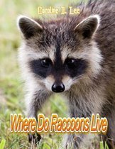 where do raccoons live