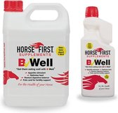 B-Well Horse First