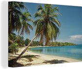 Canvas schilderij 140x90 cm - Wanddecoratie De palmbomen met blauwe zee en lucht bij de Baai-eilanden in Noord-Amerika - Muurdecoratie woonkamer - Slaapkamer decoratie - Kamer accessoires - Schilderijen
