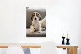 Canvas Schilderij Schattige Beagle puppy zit op de bank - 60x90 cm - Wanddecoratie