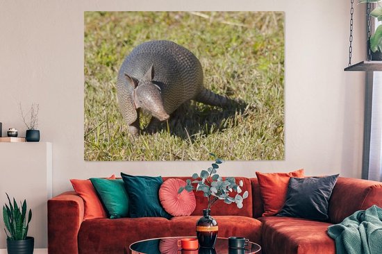 Toile de tatou dans l'herbe 2cm 160x120 cm - Tirage photo sur toile (Décoration murale salon / chambre) / Animaux sauvages Peintures sur toile XXL / Groot format!