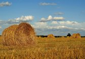 Tuinposter - Landschap - Hooi / Hooibalen in beige / bruin / blauw / wit / zwart  -  60 x 90 cm.