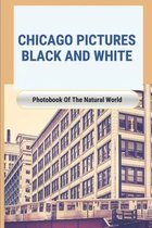 Chicago Pictures Black And White: Photobook Of The Natural World