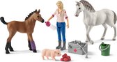 Schleich Farm World - Arts bezoekt merrie en veulen - Speelfigurenset - Kinderspeelgoed voor Jongens en Meisjes - 3 tot 8 jaar - 8 Onderdelen