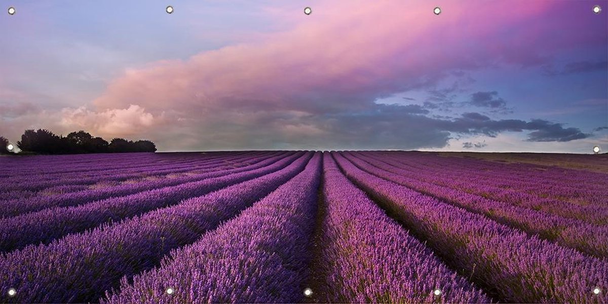 Tuinposter Lavendel 100 x 50 cm incl. Metalen ringen - (Buitenposter - Tuindoek - Buitencanvas - Schilderijen voor buiten - tuin decoratie)