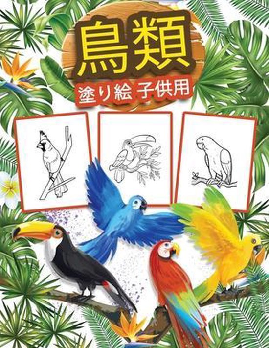 Bol Com 子供のための鳥の塗り絵 Kkarlajp Boeken