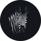 Muurcirkel Zebra No1 - voor buiten - zwart wit - dieren - tuindecoratie -  Ø50 cm