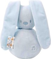 Nattou - Lapidou Music Rabbit - Light Blue