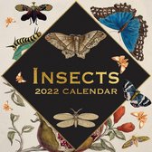 Insects Kalender 2022