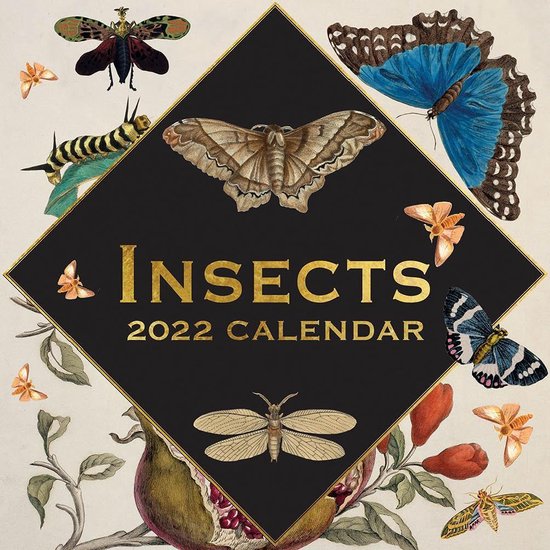 Insects Kalender 2022 | bol.com