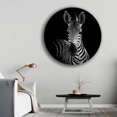 KEK Original - Dieren Zebra - wanddecoratie - 70 cm diameter - muurdecoratie - Plexiglas 5mm - Acrylglas - Schilderij - Zwart/Wit - Muurcircel