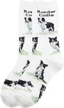 Funsokken met de hond Border Collie