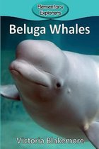 Elementary Explorers- Beluga Whales