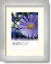 DFS Aluminium Fotolijst Es Leonie Zilver 10x15 cm