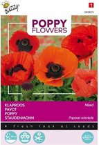 Buzzy® Poppies of the world - Papaver Orientaalse