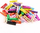 Wasknijpers mini - Mini wasknijpers hout - Multicolor - Hout - 50 stuks - Able & Borret