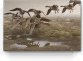 Wilde ganzen - Bruno Liljefors - 30 x 19,5 cm - Niet van echt te onderscheiden houten schilderijtje - Mooier dan een schilderij op canvas - Laqueprint.
