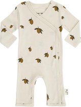 Newborn Onesie maat 44