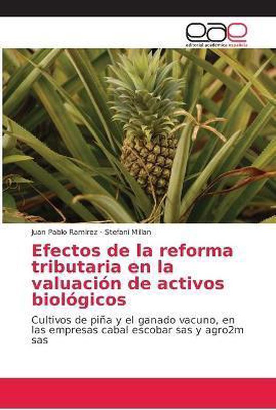 Efectos de la reforma tributaria en la valuación de activos ... - cover
