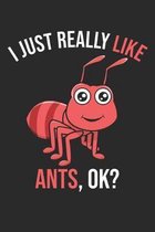 I Just Really Like Ants, OK?