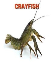 Crayfish
