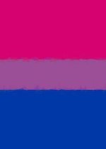 Bisexual Pride Flag Sketchbook