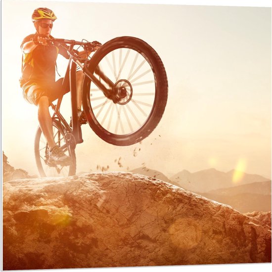 Forex - Mountainbiker in de Bergen - 80x80cm Foto op Forex