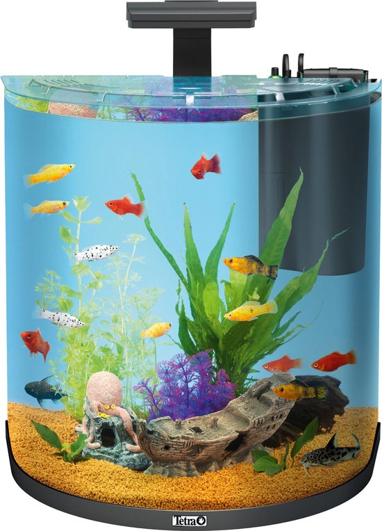 Bedelen Houden Verbeteren Tetra Aqua-Art aquarium Explorer line 60 liter, zwart. | bol.com