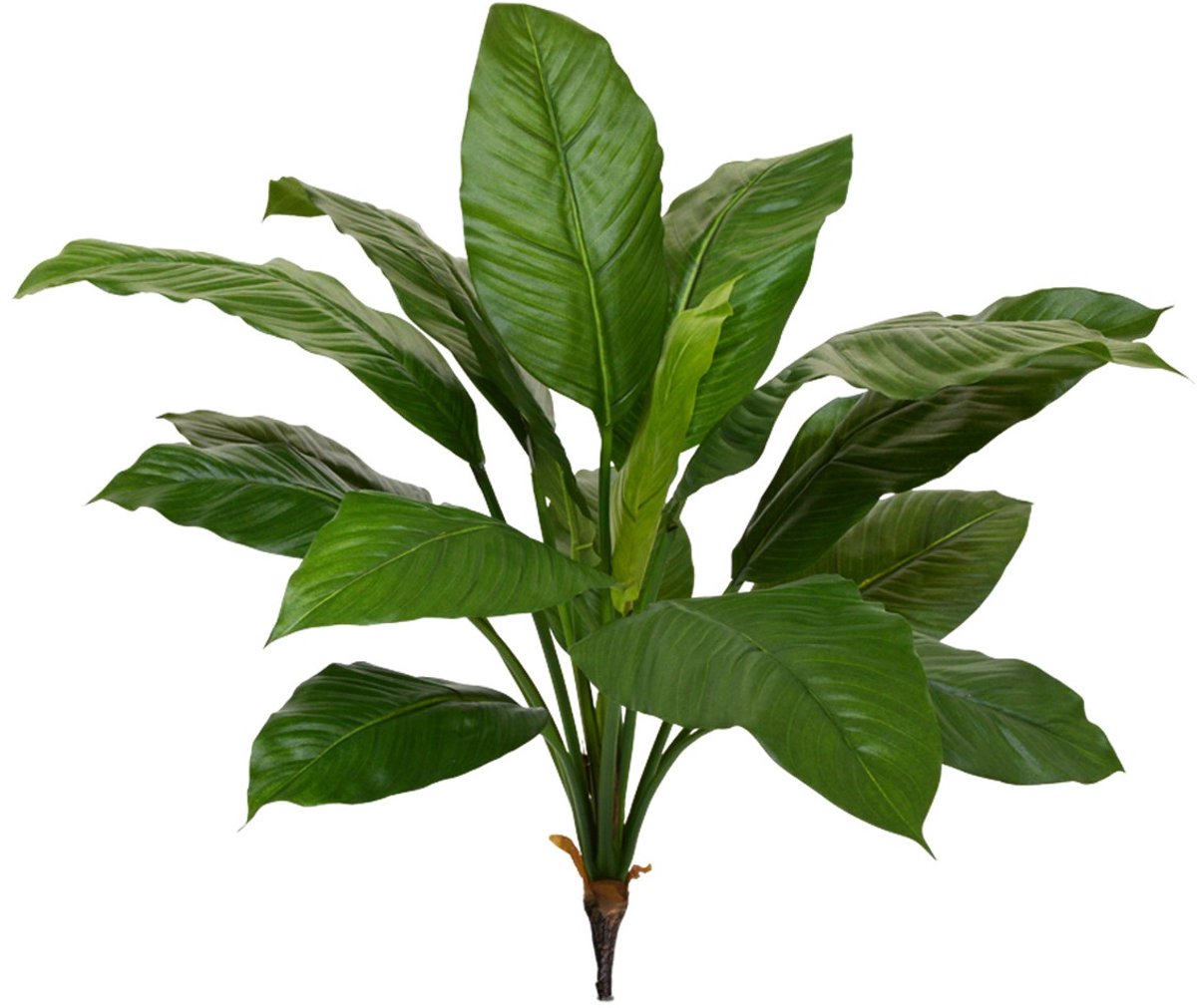 maxifleur Kunstplanten Spathiphyllum King kunstplant 80cm - groen