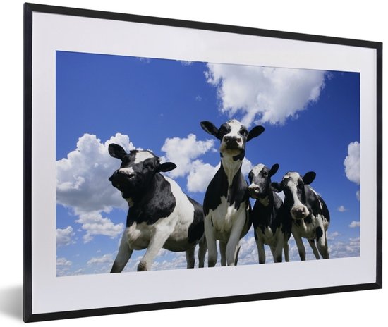 Photo en cadre - Quatre vaches frisonnes sous un ciel nuageux cadre photo noir avec passe-partout blanc 60x40 cm - Affiche sous cadre (Décoration murale salon / chambre)