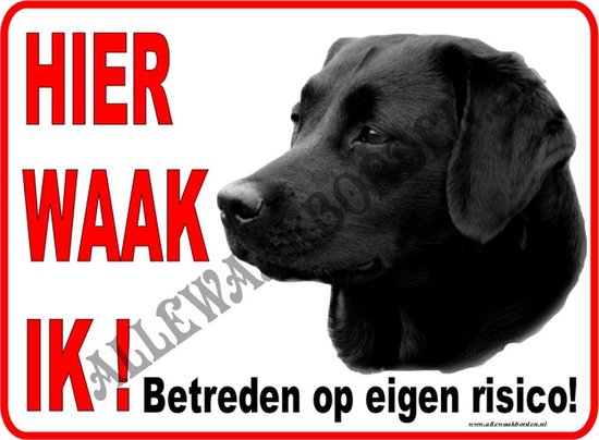 Labrador noir ... Taille 15x20cm (Ici je regarde!) (blanc / rouge / noir + couleur)