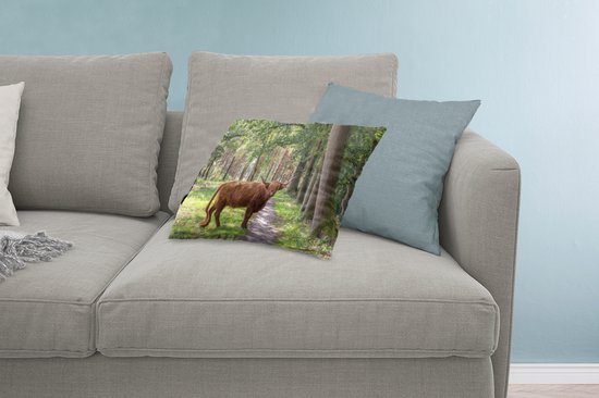 Sierkussen Indoor Forest Life - Highlander écossais sur la route - 60x40 cm - Coussin intérieur rectangulaire en coton