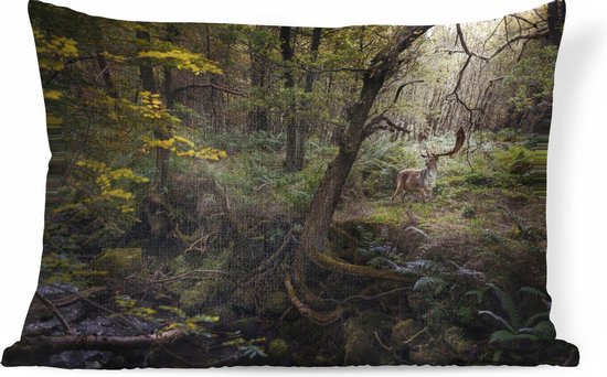Sierkussen Forest Life pour l'intérieur - Hert in forest - 60x40 cm - coussin intérieur rectangulaire en coton