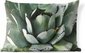Buitenkussens - Tuin - Detailfoto van een mintgroene cactus - 60x40 cm