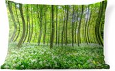 Buitenkussens - Tuin - Groene bomen in het bos - 50x30 cm