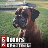 Calendar 2021 Boxers