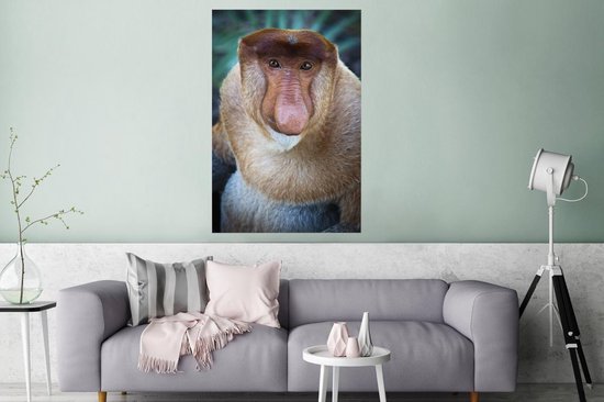 Un gros plan d'un poster singe proboscis 120x180 cm - Tirage photo sur Poster (décoration murale salon / chambre) / Poster Animaux sauvages XXL / Groot format!