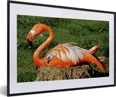 Fotolijst incl. Poster - Flamingo die haar kuiken onder haar vleugel beschermd - 60x40 cm - Posterlijst