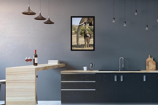 Cadre photo avec affiche - Bébé éléphant communique avec sa mère - 40x60 cm - Cadre pour affiche