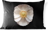 Buitenkussens - Tuin - Witte klaproos op zwarte achtergrond - 60x40 cm