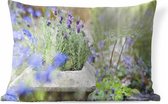 Buitenkussens - Tuin - Close-up van lavendel in een tuin - 60x40 cm