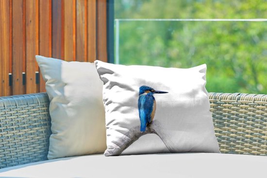 Coussins d'extérieur - Jardin - martin-pêcheur devant fond blanc - 50x30 cm